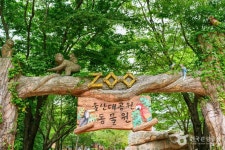 울산 롯데 그랜드 휠 - 주변 여행 및 근처 관광 명소 - 국내 여행 정보와 관광 명소 정보