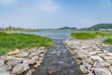 남대천(양양) 관광 정보와 주변 관광 명소 및 근처 맛집 여행 정보