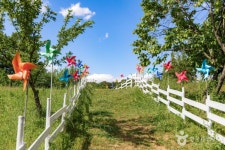 파주팜랜드 관광 정보와 주변 관광 명소 및 근처 맛집 여행 정보