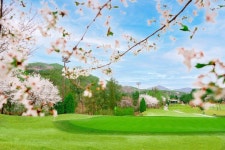 호병골닭발 - 주변 여행 및 근처 관광 명소 - 국내 여행 정보와 관광 명소 정보