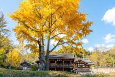 월천서당 - 주변 여행 및 근처 관광 명소 - 국내 여행 정보와 관광 명소 정보