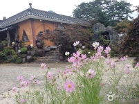 언덕넘어 음식점 정보와 주변 관광 명소 및 근처 맛집 여행 정보