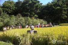 일영유원지 - 주변 여행 및 근처 관광 명소 - 국내 여행 정보와 관광 명소 정보