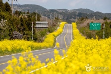 제주아리랑 혼 - 주변 여행 및 근처 관광 명소 - 국내 여행 정보와 관광 명소 정보