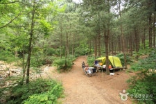国立山陰自然休養林（국립 산음자연휴양림） - 観光 - 韓国旅行・観光情報