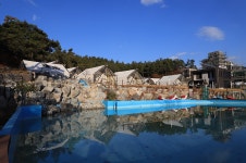 대부도 - 주변 여행 및 근처 관광 명소 - 국내 여행 정보와 관광 명소 정보