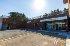 안면도 쥬라기박물관 - 주변 여행 및 근처 관광 명소 - 국내 여행 정보와 관광 명소 정보