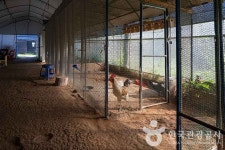 찬우물 체험동물농장 관광 정보와 주변 관광 명소 및 근처 맛집 여행 정보