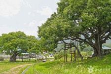 수안보온천 관광특구 - 주변 여행 및 근처 관광 명소 - 국내 여행 정보와 관광 명소 정보