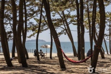 갈음이해수욕장 관광 정보와 주변 관광 명소 및 근처 맛집 여행 정보