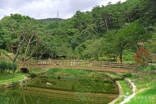 용두산 산림욕장 관광 정보와 주변 관광 명소 및 근처 맛집 여행 정보