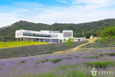 정읍 허브원 관광 정보와 주변 관광 명소 및 근처 맛집 여행 정보