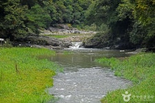 수타사계곡 관광 정보와 주변 관광 명소 및 근처 맛집 여행 정보