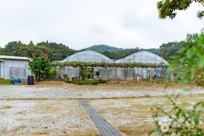 꾀꼴성마을 관광 정보와 주변 관광 명소 및 근처 맛집 여행 정보