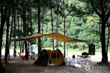 낚으며 가을 낭만이 영글어가는 곳,홍천 밤벌오토캠핑장 - Daum 카페 알밤 줍고 꺽지 낚으며 가을 낭만이 영글어가는 곳,홍천 밤벌오토캠핑장