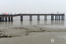 버스 지원특가 당진 레트로 감성 당일여행 (삼선산수목원, 삽교호관광지, 신리성지 등) : 인터파크투어