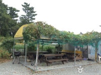 몽산포파인펜션 숙박 정보와 주변 관광 명소 및 근처 맛집 여행 정보
