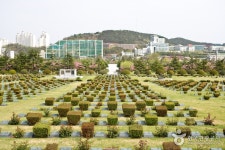 UN Memorial Cemetery (재한유엔기념공원 (UN기념공원)) - Sightseeing - Korea travel and tourism information
