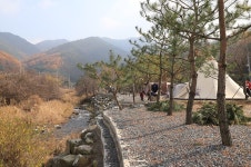 원주 학곡마을 - 주변 여행 및 근처 관광 명소 - 국내 여행 정보와 관광 명소 정보