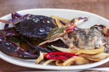 원조뚝배기식당 음식점 정보와 주변 관광 명소 및 근처 맛집 여행 정보