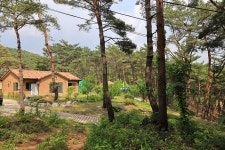 영월천문대 캠핑장 - 주변 여행 및 근처 관광 명소 - 국내 여행 정보와 관광 명소 정보