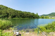 상보안 유원지 | NOL 인터파크투어 프리야 여행정보 [대한민국... [상보안 유원지] 상보안 유원지는 흑석 노루벌길의 걷기 코스 가운데 하나다.... 