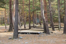 강릉 노추산힐링캠프 레저스포츠 정보와 주변 관광 명소 및 근처 맛집 여행 정보