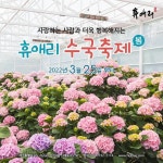 휴애리 봄 수국축제 - 뽐뿌:축제정보 휴애리 봄 수국축제