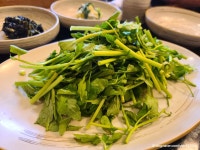 싱그레복집 음식점 정보와 주변 관광 명소 및 근처 맛집 여행 정보