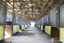 부산기장승마장 레저스포츠 정보와 주변 관광 명소 및 근처 맛집 여행 정보