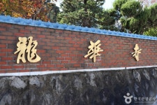 용화사(대전) 관광 정보와 주변 관광 명소 및 근처 맛집 여행 정보