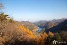 Jangtaesan Recreational Forest (장태산자연휴양림) - Sightseeing - Korea travel and tourism information