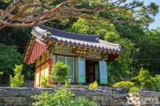 경북대학교자연사박물관 - 주변 여행 및 근처 관광 명소 - 국내 여행 정보와 관광 명소 정보