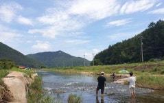 밤원마을 관광 정보와 주변 관광 명소 및 근처 맛집 여행 정보