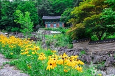 백련사(무주) 관광 정보와 주변 관광 명소 및 근처 맛집 여행 정보