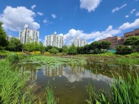 연의근린공원 관광 정보와 주변 관광 명소 및 근처 맛집 여행 정보