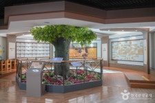 김환태문학관&최북미술관 문화 정보와 주변 관광 명소 및 근처 맛집 여행 정보