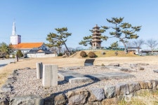 완도 미라리 상록수림 관광 정보와 주변 관광 명소 및 근처 맛집 여행 정보