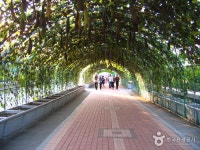 파라다이스시티 홈페이지 파라다이스시티 		title.travel	