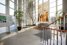 Phoenix The Hotel (휘닉스 더호텔) - Alojamiento - los viajes e información turística de Corea