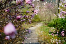 아가새농장 - 주변 여행 및 근처 관광 명소 - 국내 여행 정보와 관광 명소 정보