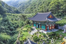 여행정보 [대한민국>대구광역시 달성군] 여기 가고싶어요! [용문사(대구)] 용문사는 대구광역시 달성군 화원읍 본리리 1137-1번지 비슬산... 