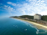 EL Hotel / 이엘호텔 - Alojamiento - los viajes e información turística de Corea