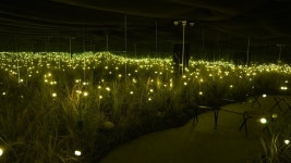 여행자의 집 문화 정보와 주변 관광 명소 및 근처 맛집 여행 정보