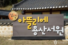 용산서원(동해) 관광 정보와 주변 관광 명소 및 근처 맛집 여행 정보
