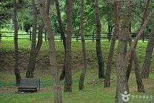 용두산 산림욕장 관광 정보와 주변 관광 명소 및 근처 맛집 여행 정보