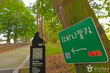 [강화 나들길 제6코스] 화남생가 가는 길 레저스포츠 정보와 주변 관광 명소 및 근처 맛집 여행 정보