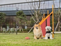 롯데호텔앤리조트 김해 숙박 정보와 주변 관광 명소 및 근처 맛집 여행 정보