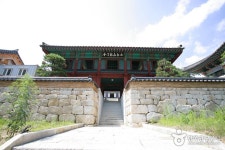예천 사부리소나무 - 주변 여행 및 근처 관광 명소 - 국내 여행 정보와 관광 명소 정보