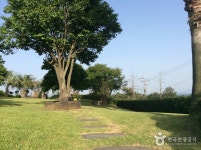 제주 써니데이 숙박 정보와 주변 관광 명소 및 근처 맛집 여행 정보